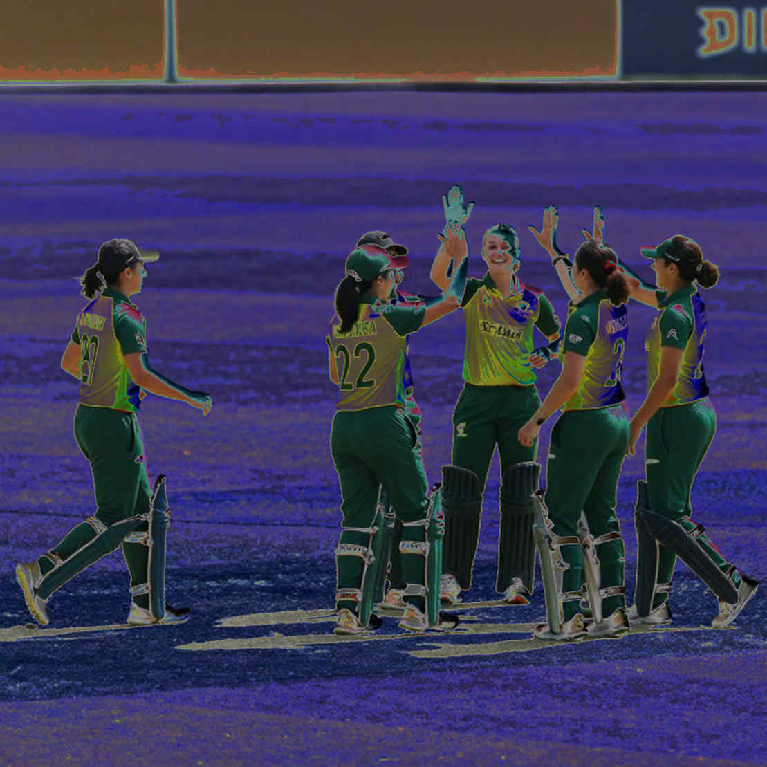 The Toll of Hollow Numbers: BCB, Franchises, and the Accounting of Data-Blind Cricket