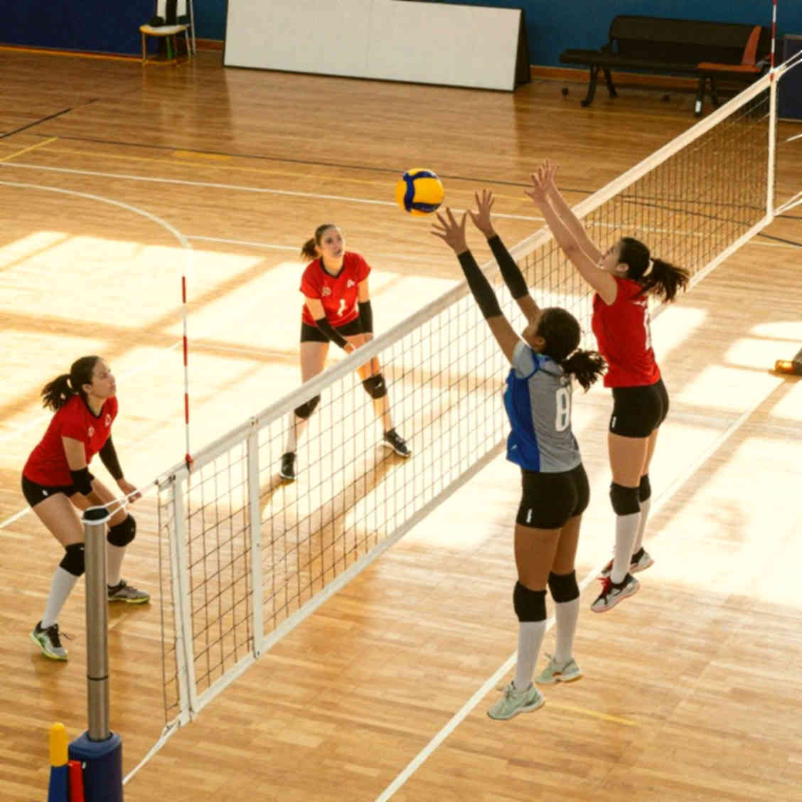 36 Teams, Rp50 Million and Java's Limit: What Indonesia's Campus Volleyball Teaches Dhaka 36 Teams, Rp50 Million and Java's Limit: What Indonesia's Campus Volleyball Teaches Dhaka