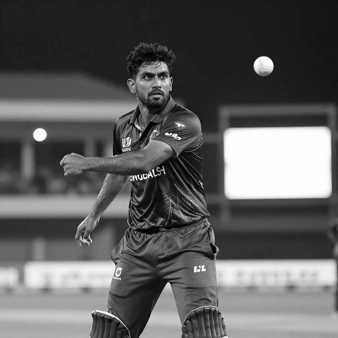 ডার্সি ব্রাউনের পিঠ: একটি সিজন হারানো, আরেকটি প্যাটার্ন ধরা পড়া